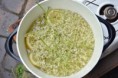 Sirup z květů černého bezu